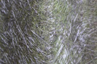 Blackfort fibreglass roof work